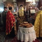 ΚΕΡΚΥΡΑΣ ΝΕΚΤΑΡΙΟΣ, ΜΑΣ ΧΡΕΙΑΖΕΤΑΙ Η ΟΔΟΣ ΤΗΣ ΣΟΦΙΑΣ (6)