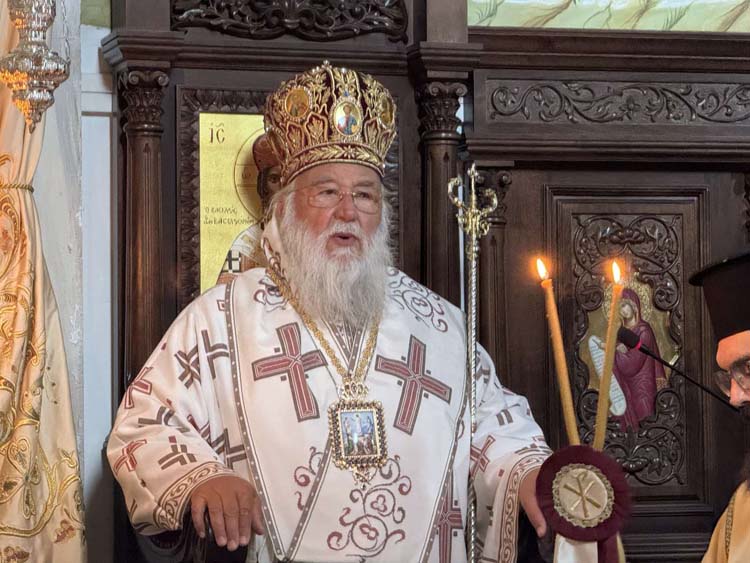 deltio typoy metamorfoseos 6082024 (2)