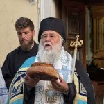 deltio typoy metamorfoseos 6082024 (4)