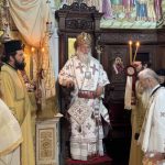 deltio typoy metamorfoseos 6082024 (9)