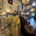 o mitropolitis vresthenis stin kerkyra (8)