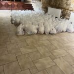 prosfora agapis apo tin mitropoli kerkyras (1)