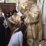 ΚΟΥΡΑ ΜΕΓΑΛΟΣΧΗΜΗΣ ΜΟΝΑΧΗΣ ΑΠΟ ΤΟΝ ΜΗΤΡΟΠΟΛΙΤΗ ΚΕΡΚΥΡΑΣ (14)