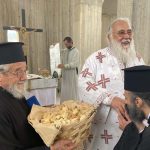 21ο Ιερατικό Συνέδριο της Ι.Μ. Κερκύρας (11)